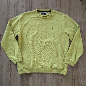 Allen Solly Sweater